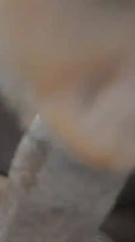 独自在我的房间里出轨继母，她的性感大屁股吮吸我的大鸡巴 - Jhodez1