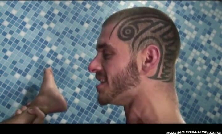 Raging Stallion: Ink Storm