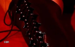 Babaras taşlar bdsm cezası