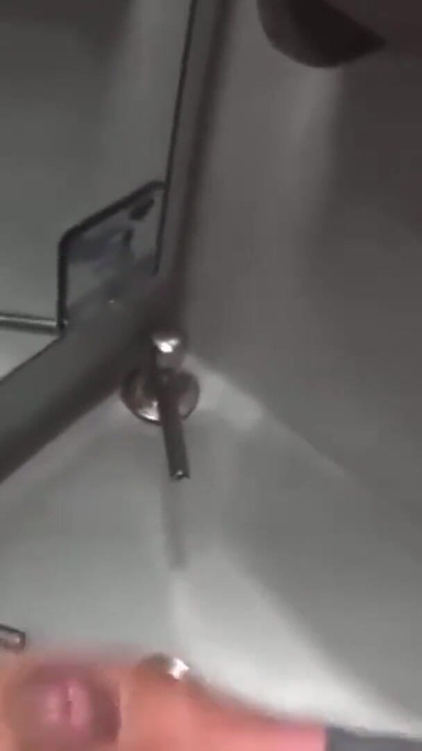 Masturbating Inside the Bus Bathroom (World Gay) Masturbating Inside the Bus Bathroom (World Gay)