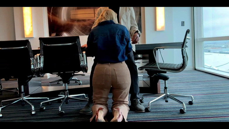 Flight Attendant Fiona: Grüße aus Dallas