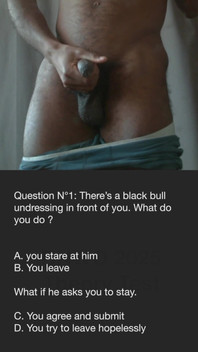 Bnwo Theory Test