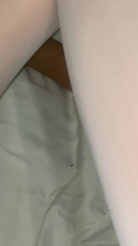 Sex Doll
