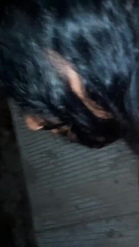 Filthy Cheating Stepdad Fucking My Ass on the Street