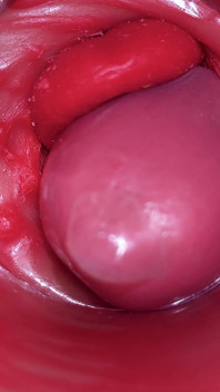 Uvnitř camgirl cervix pov kamery ve vagíně s velkým čůrákem