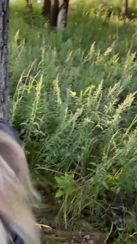 Outdoor Fuck