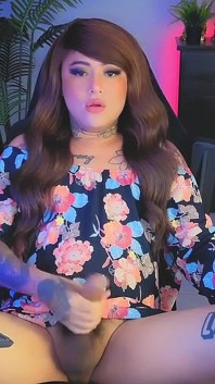 2025년 9월 8일부터 라이브 김