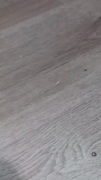 Honění
