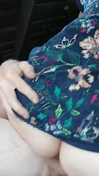 Fucked Quickly in the Car