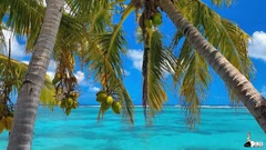 Lamaran: Nyonya Keagan Liburan Ep 2