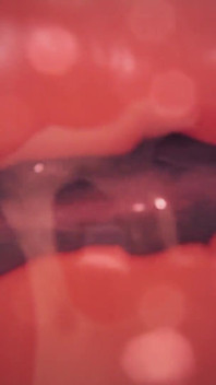 Boss Raiden Shogun Cums and Gets Roughly Fucked by a Mitachurl Cock Full Vaginal Nelson X Ray View
