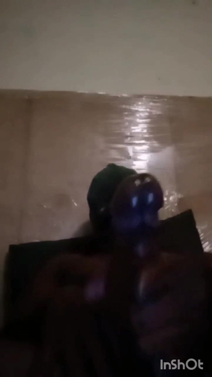 Rex Bitchington Blade: African Beauty 4