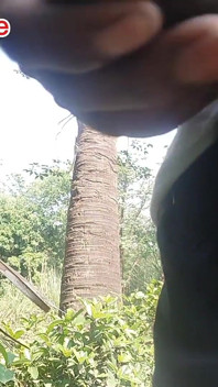 Desi Bangali Boy in Forest Fuk Tree