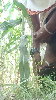 The Village Boy Went to the Cornfield and Hit Him Hard