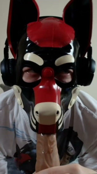 Latex Pet Sucks His Rubber Bone. Watch the Full on My Fancentro