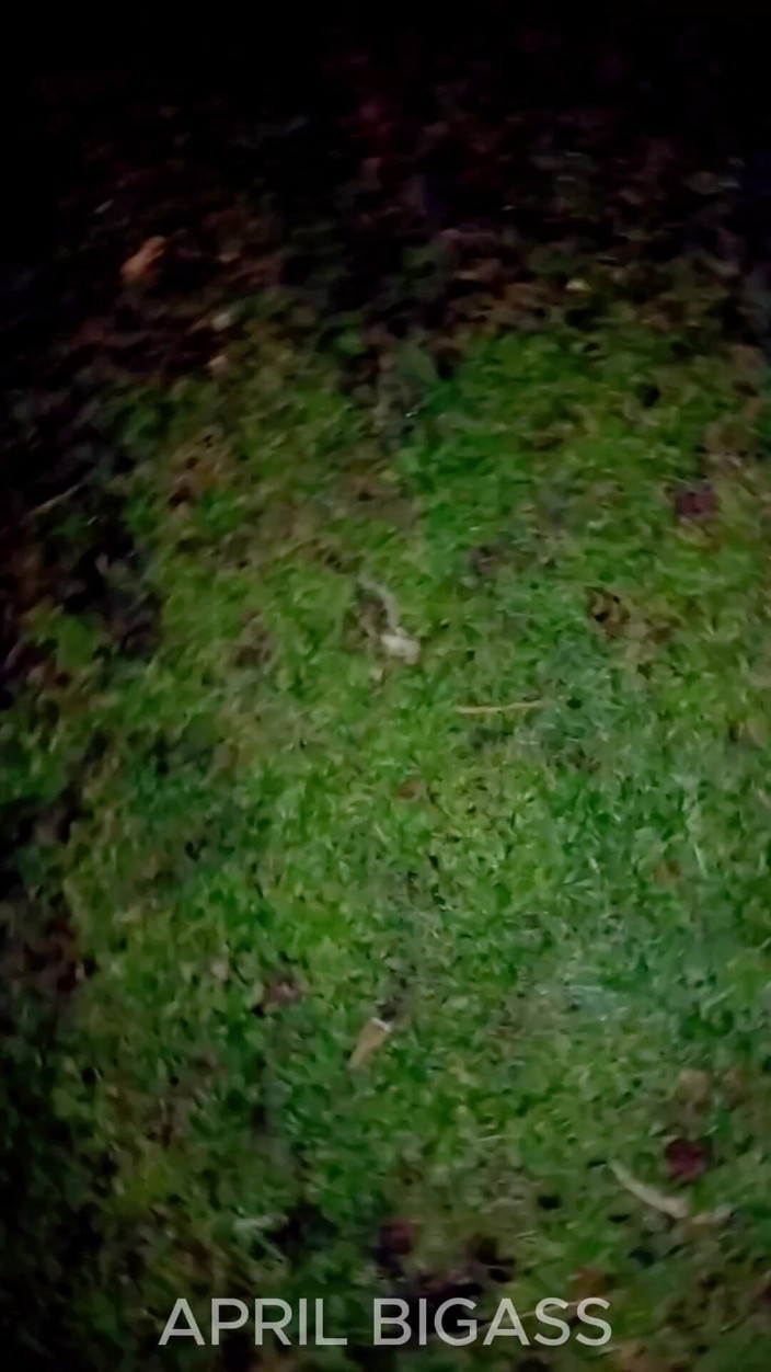 April BigAss: Arjantin sokaklarına işeyen üçlü grup seks, mar del plata, 2 fahişe birlikte!!...