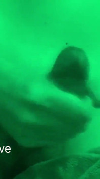 Cute Teen Late Night Jerk off Massive Cumshot