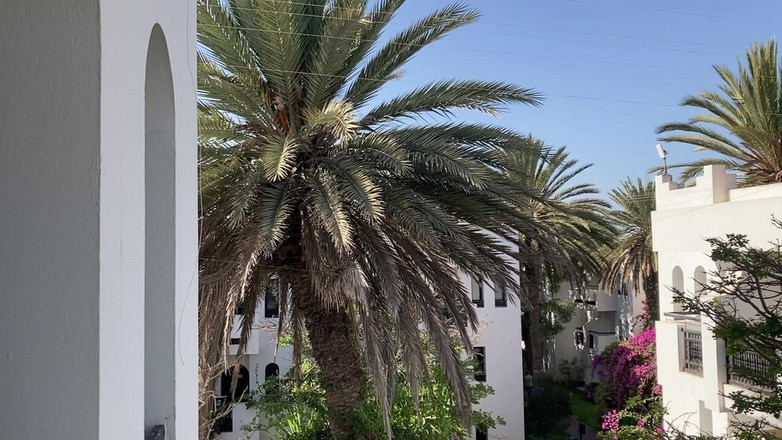 Aunty Sandra vintage girdle queen: Tatie En Ceinture Oc Et Robe Transparente