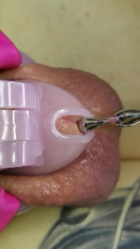 Femboy Sounding in Chastity