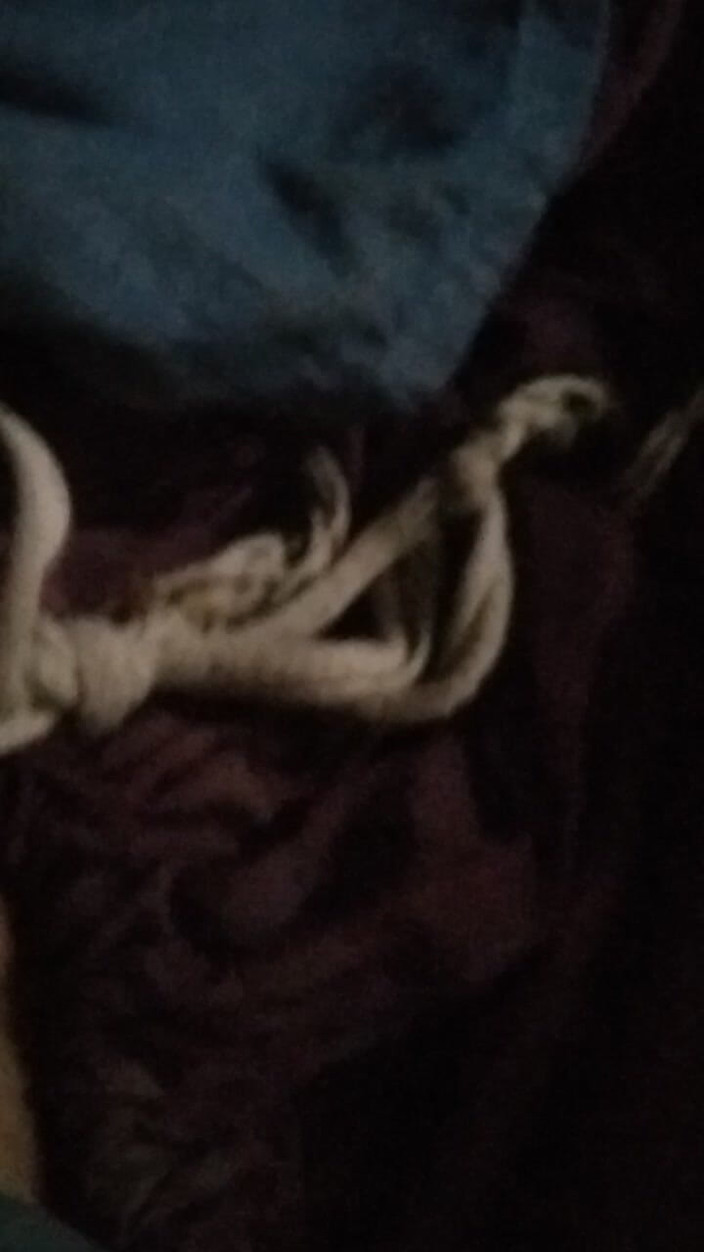 Alina studio: 매일 개인 비디오