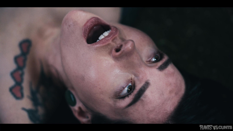 Plants vs Cunts: Księga przekleństw