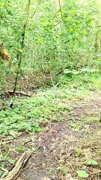 Tanpa kontrasepsi sama orang asing di hutan sampai dicrot di dalam