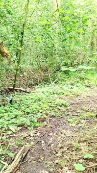 Sborrata dentro Senza contraccezione da uno sconosciuto nel bosco