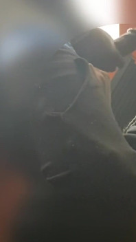 Erkek arkadaşı neredeyse onu sikimi emerken yakalıyor. Onun geldiğini duydu ve emmeyi bıraktı