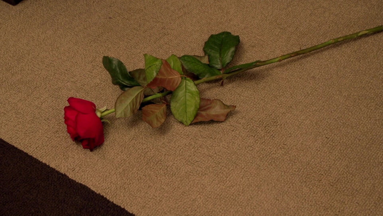 Soft pornos best of: Hot Blonde and Her Lover in Intense Bedroom Scenes
