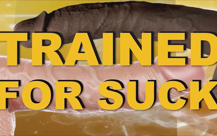 Dom Rod: Trained for Suck