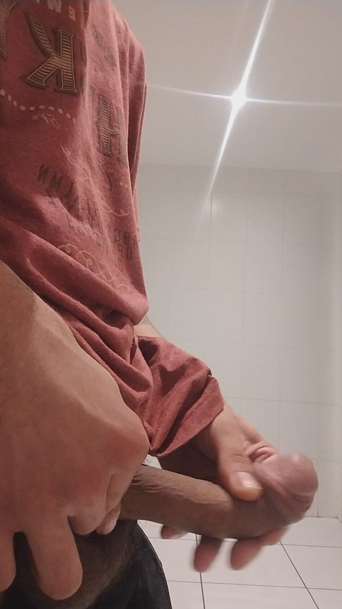 Virtual ToyBoy: Im Badezimmer bei der Arbeit fliegen