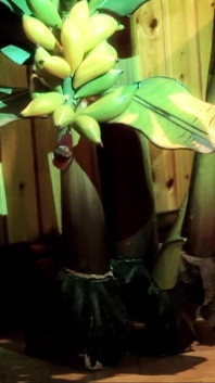 Orta yaşlı seksi kadın pokerde kaybediyor ve onu sikiyorlar