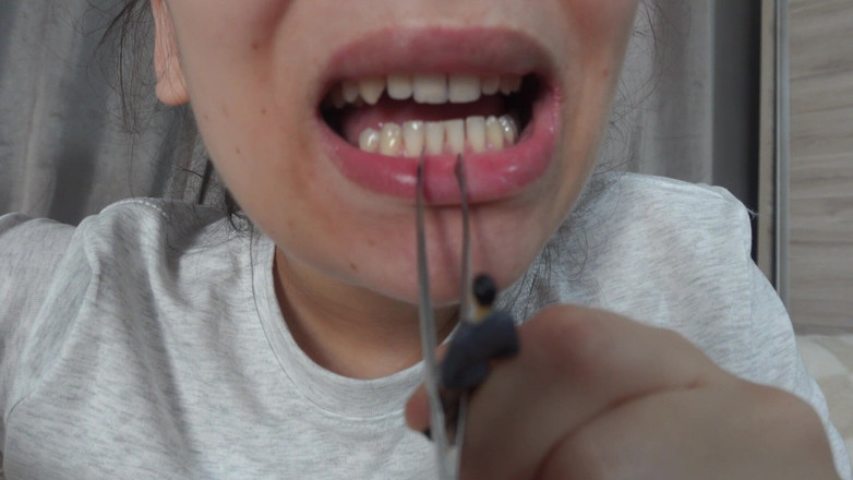 AmayaMori: Chị kế giantess của tôi chơi nha sĩ với anh...