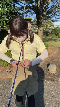 Pasear con collar por el parque durante el día