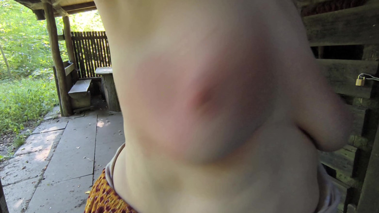 Bouncy Tits Action: Titslapping World Record Trainig 2 - 15 of 18 - 4230 Slaps