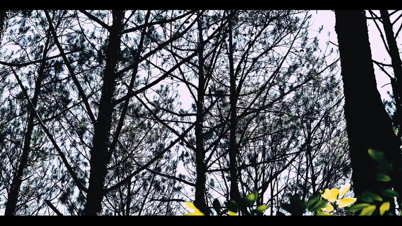ElementX1018: 2901589826.mp4