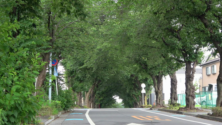 Vulture: Boyun eğmede diz çöküyor, seks için yalvarıyor