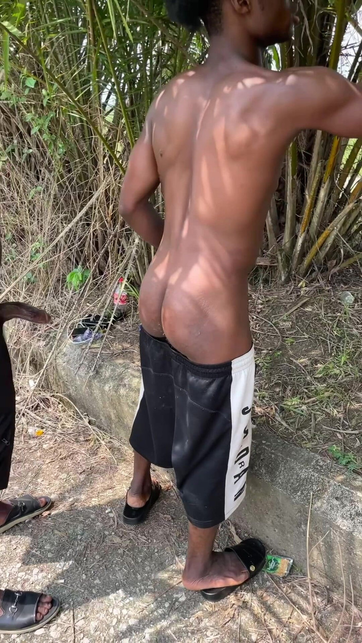 Vicfairy: Бандит заросли