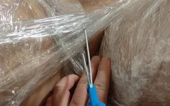 Sucking on the Clitoris
