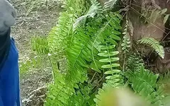 Palmeira e luvas