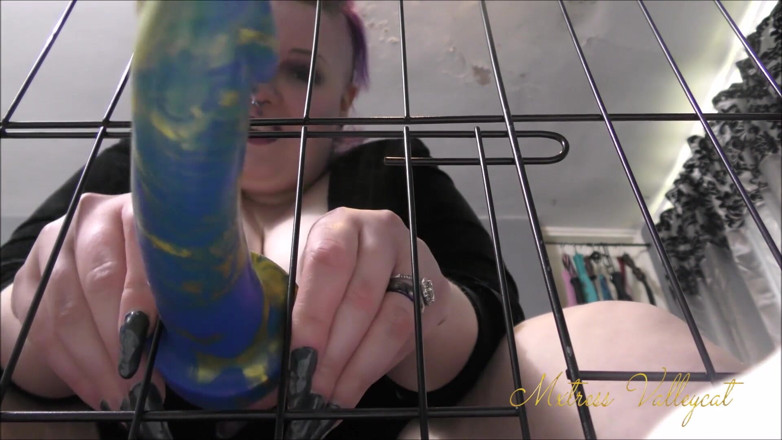 Mxtress Valleycat: Suck my dick through the bars