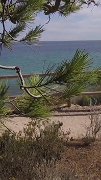 Dick Flash - I Pull Out My Cock in Front of a French Girl... Beach Path and She Helps Me Cum in Mounth Caught!!!