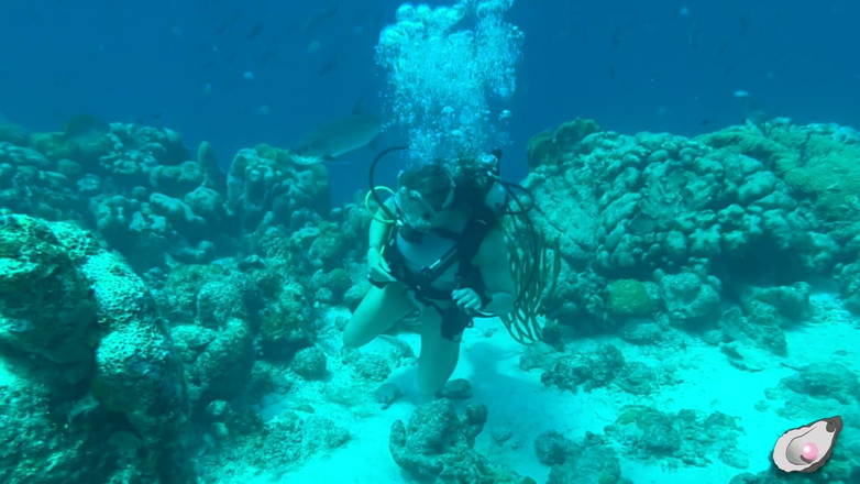 Mistress Pink Pearl: Bersendirian Time di Bonaire