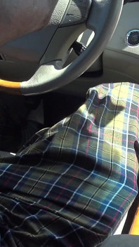 Big Black Cock Backseat Quickie