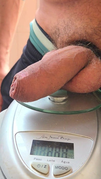 How Much Does an Real Alpha Cock Weigh?