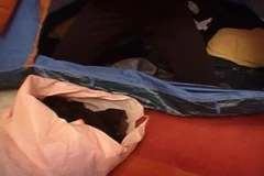Francouzská děvka si zničila anální díru