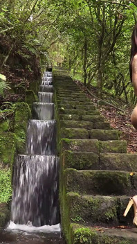 Madeira secrets