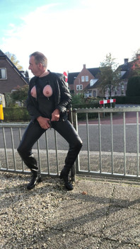 Nadržená sedí na plotu podél silnice