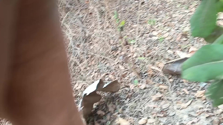 Riyadesi18: C’est arrivé dans la jungle avec ma belle-sœur Chudai