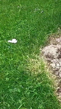 Des salopes se font baiser et crémer, partie 3 - amateurs enregistrés - parlé en allemand